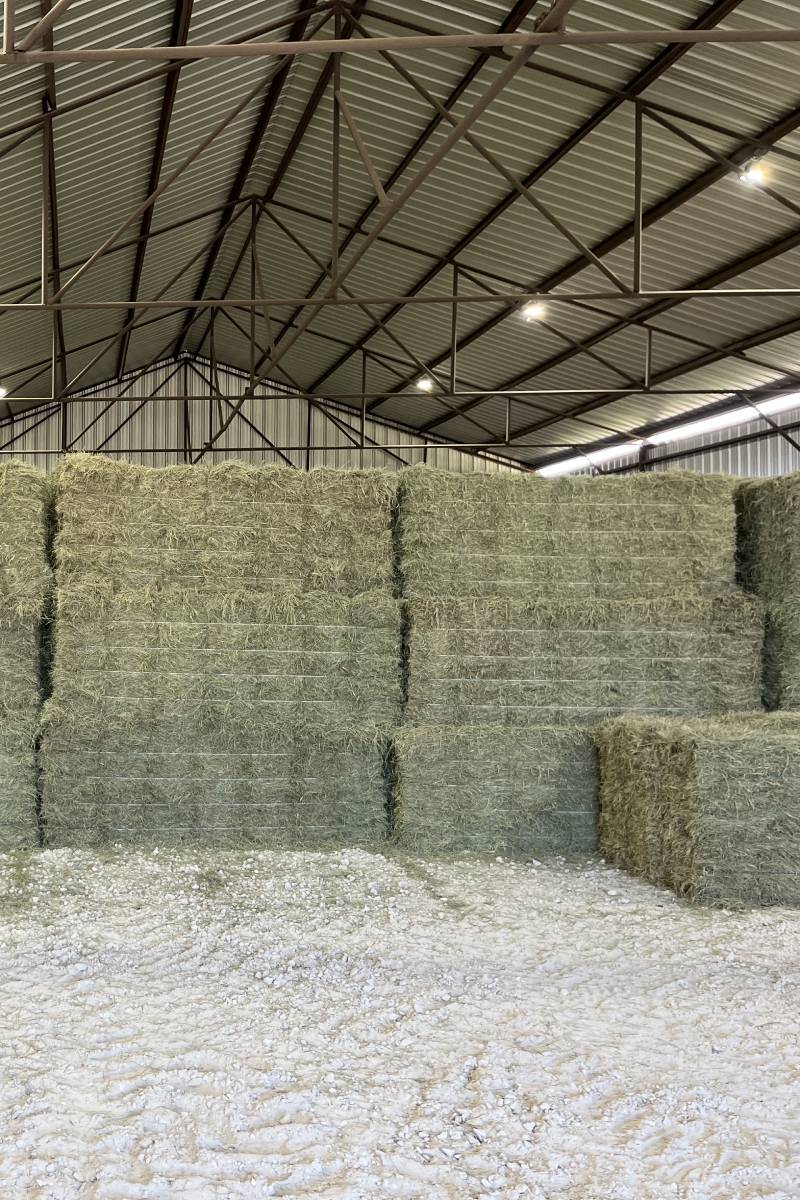 Premium Hay For Sale Hudson Farm Company